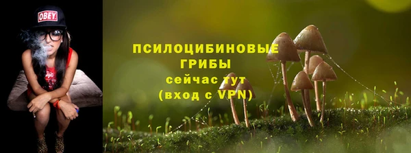 дурь Алзамай