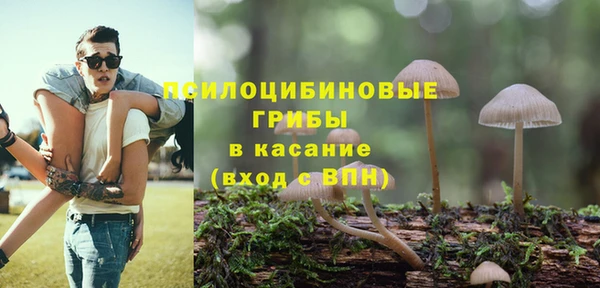 дурь Алзамай