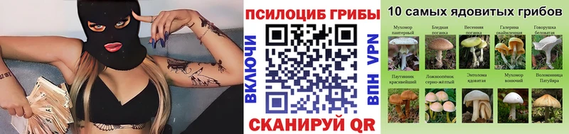 Галлюциногенные грибы Psilocybine cubensis  наркошоп  блэк спрут как войти  Скопин 